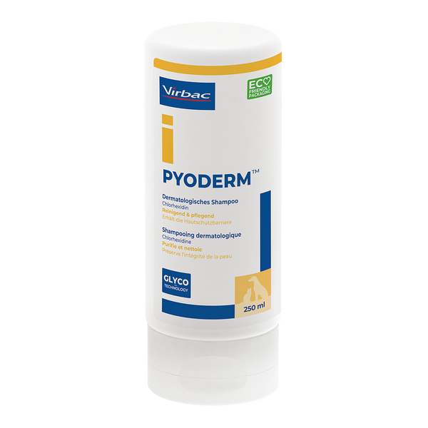 Pyoderm dermatologisches Shampoo 250 ml (größere Packung!)