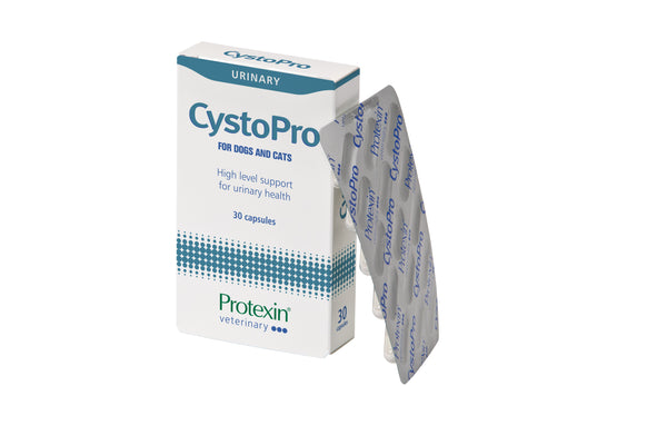 Protexin Cystopro 30 capsule